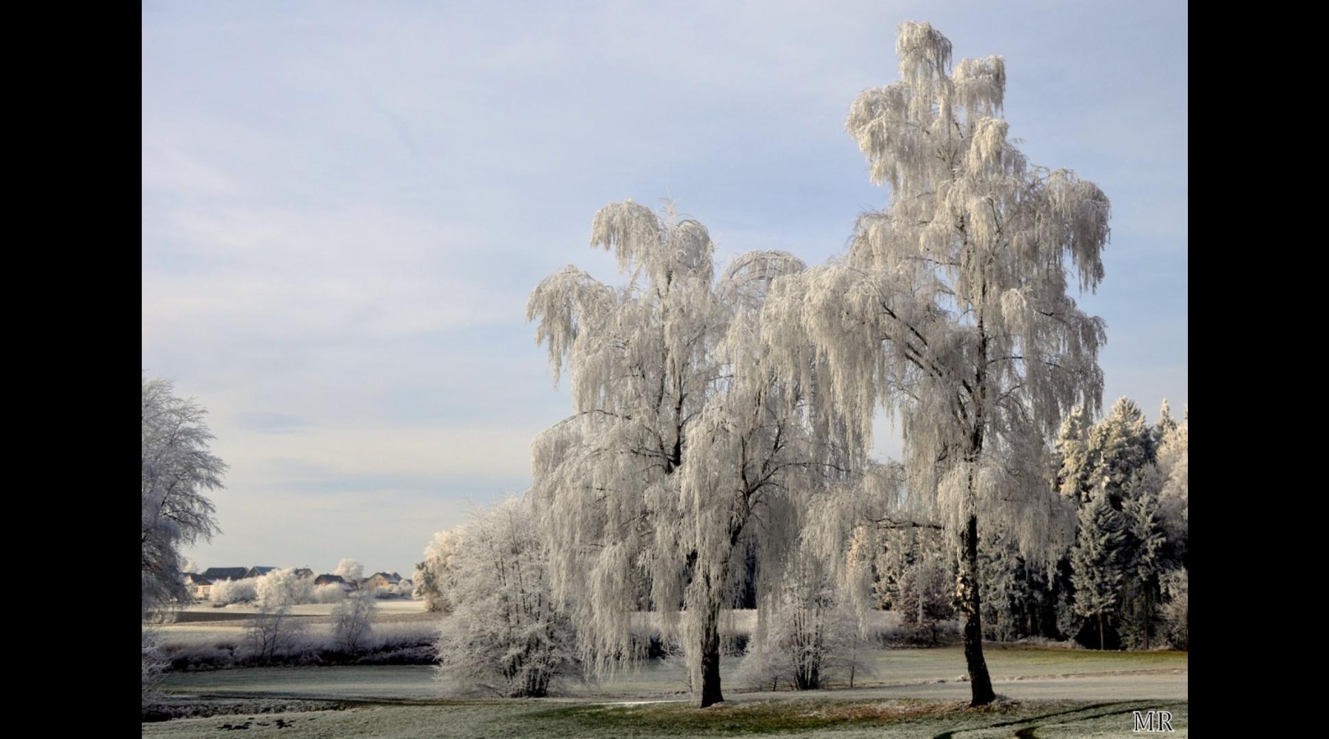 Wintertraum