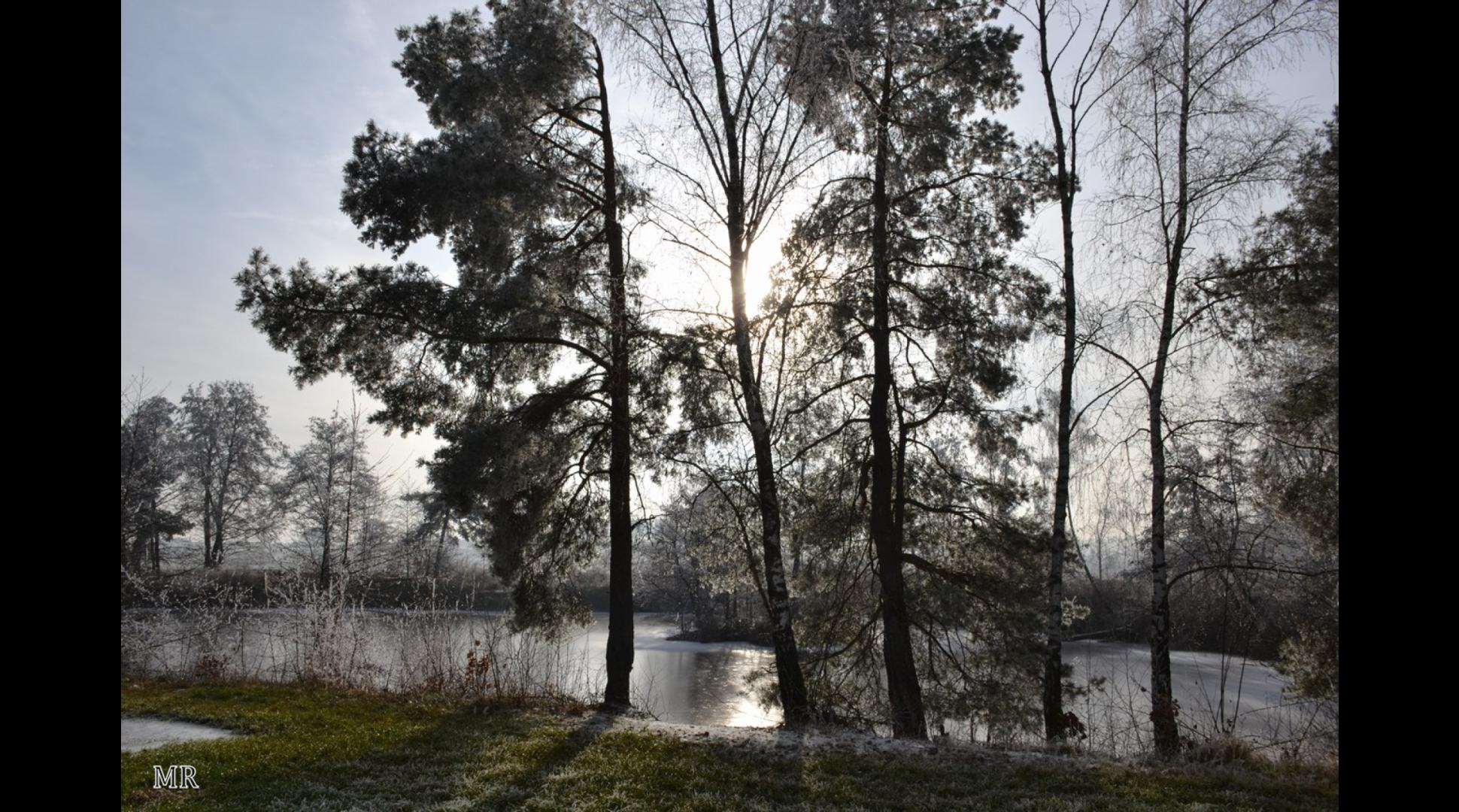 Wintertraum