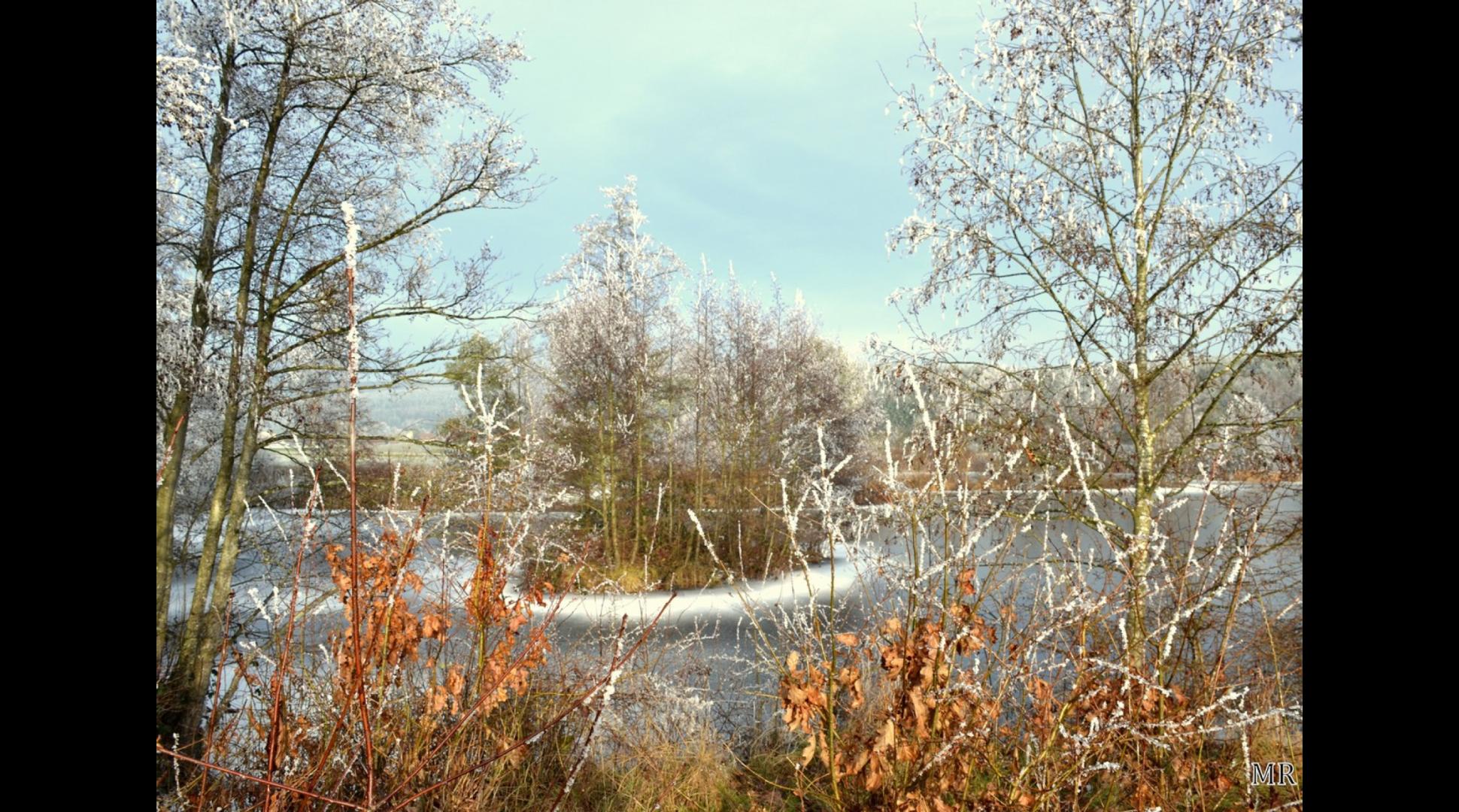Wintertraum