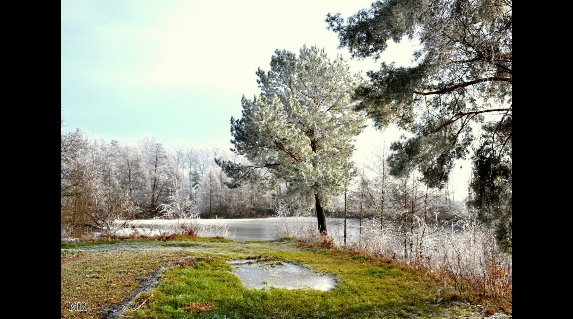 Wintertraum