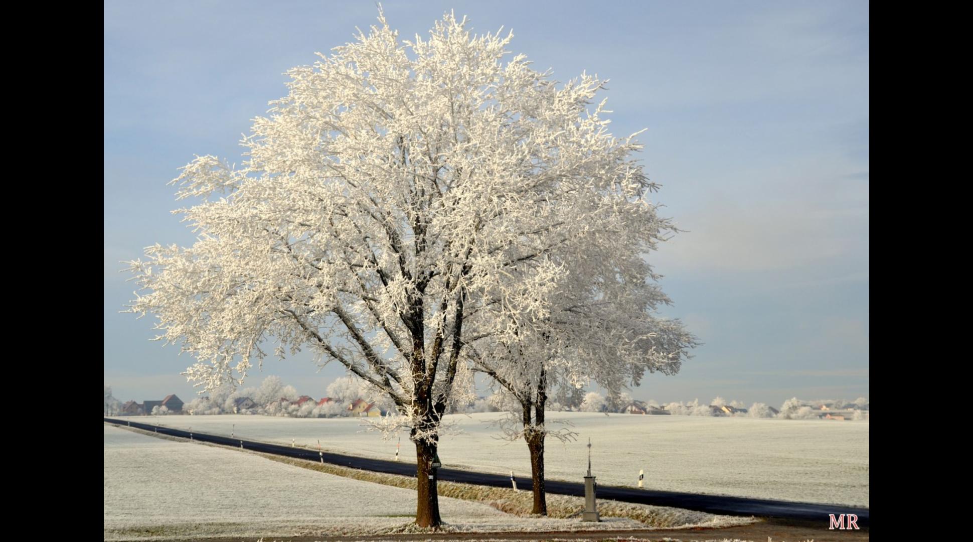 Wintertraum