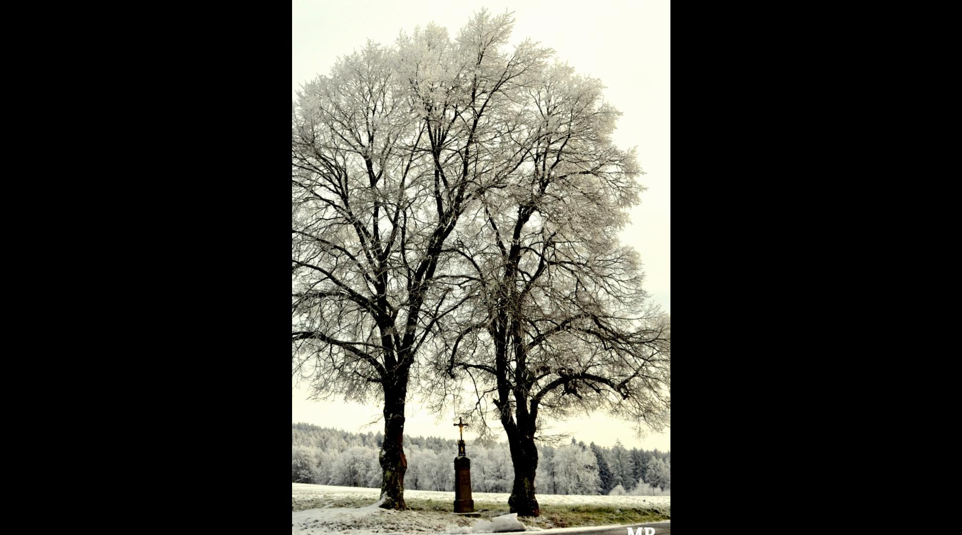 Wintertraum