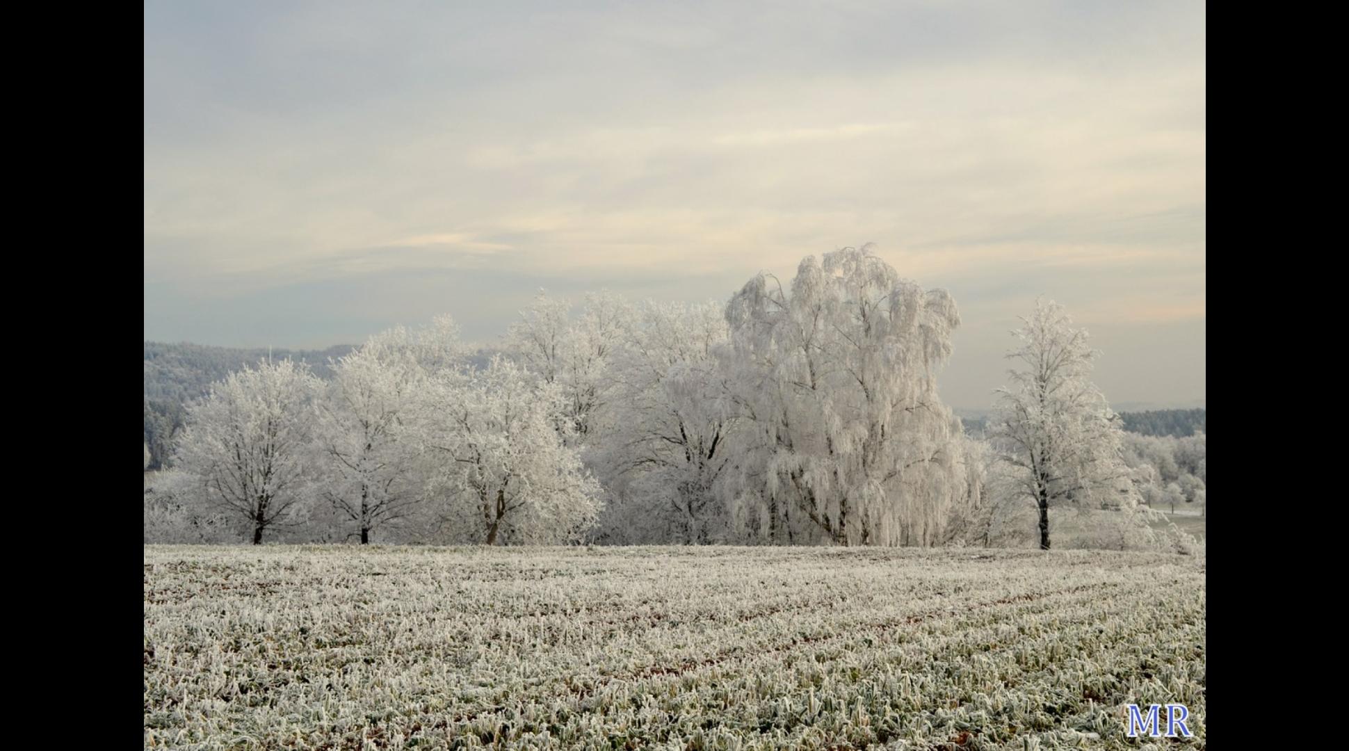 Wintertraum