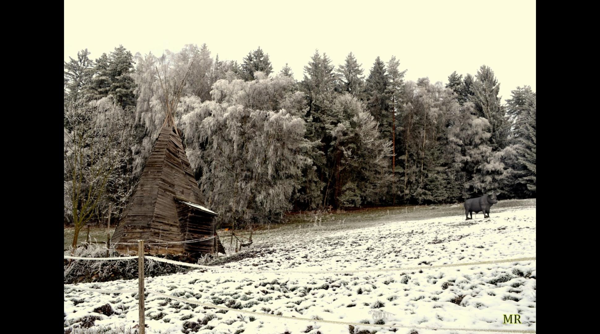Wintertraum